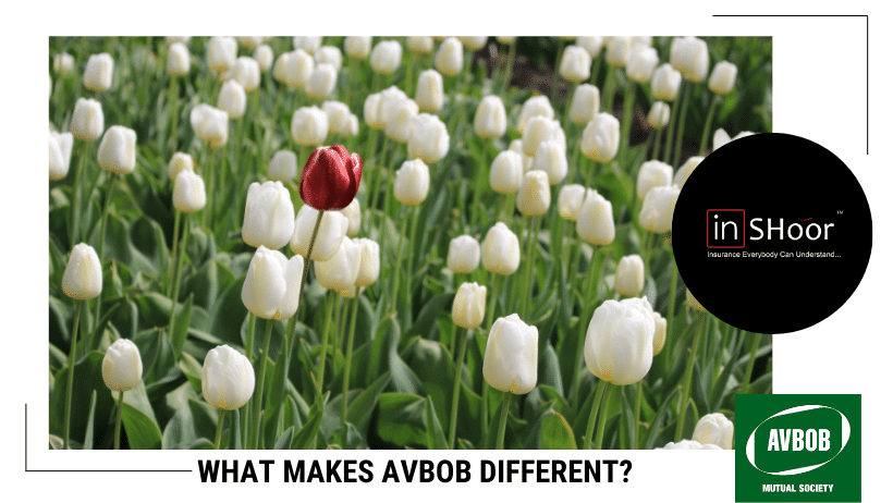 What Makes the AVBOB Insurance Policy Different - A red flower in a field of white flowers.